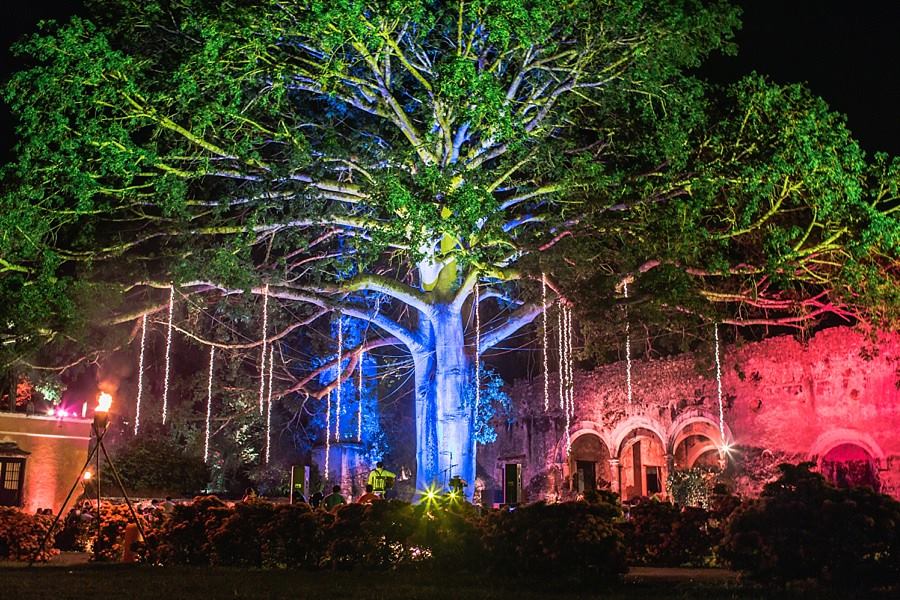 Wedding lovely tree at Hacienda Uayamon